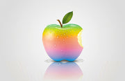 Lorem ipsum dolor sit amet suscipit nulla  consectetuer adipiscing