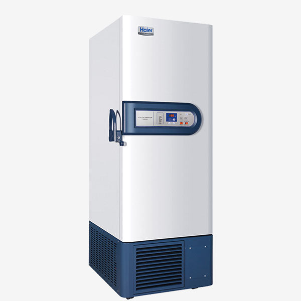 Giamond Balo Stud Cum