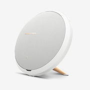 Diamond Halo Stud Earrings